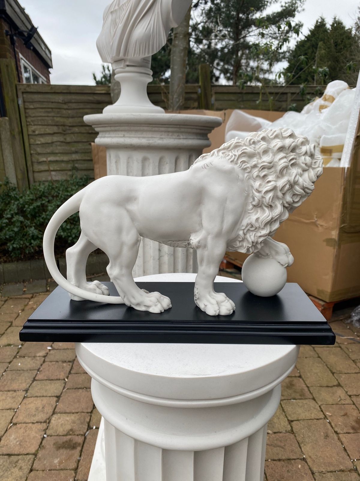 Medici & Vacca Lions   20th Century Marble Sculptures photo 950.0