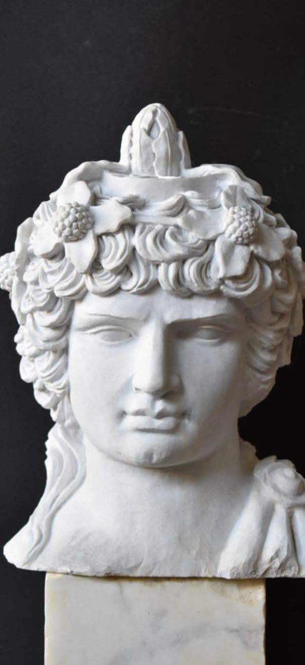 Townley Antinous Bust Sculpture – Hand Carved, 20th Century photo for sale