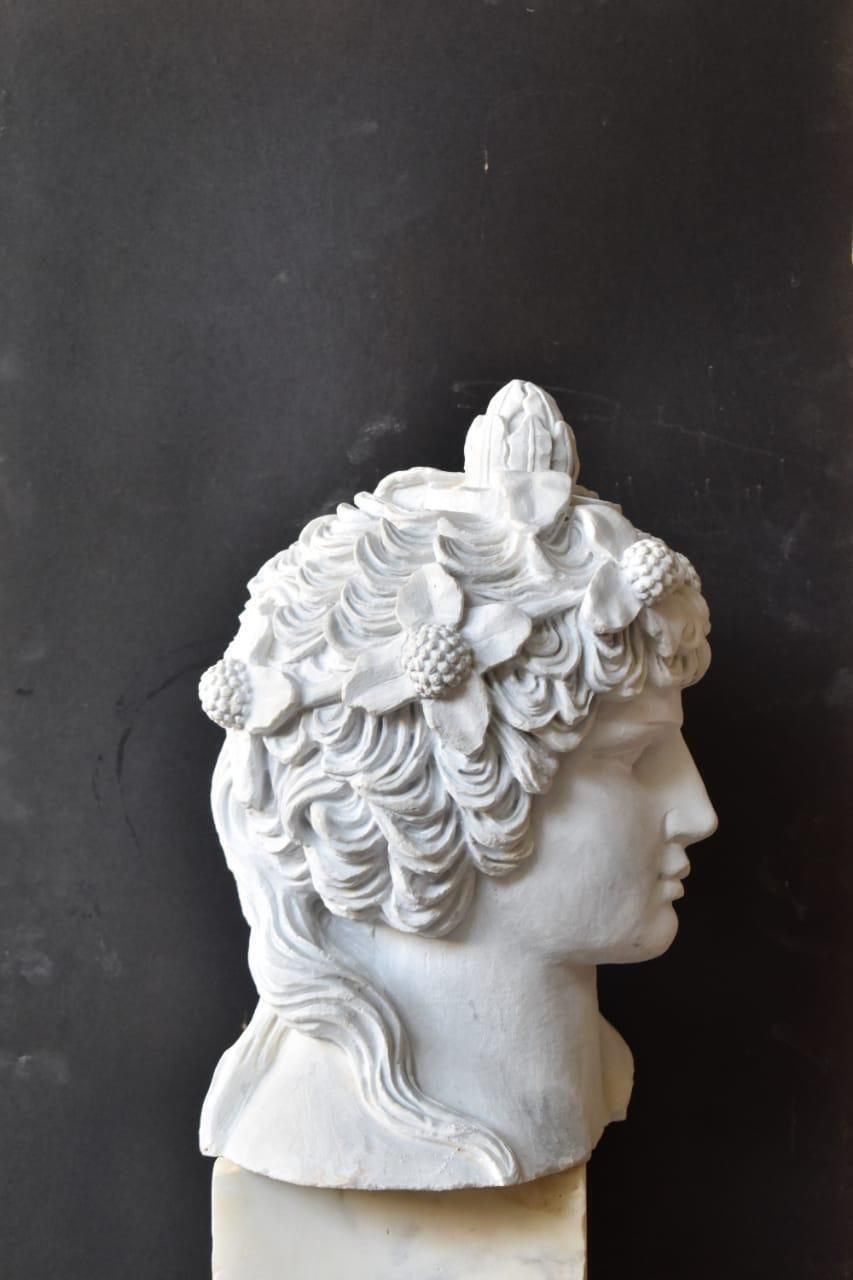 Townley Antinous Bust Sculpture – Hand Carved, 20th Century photo vinterior