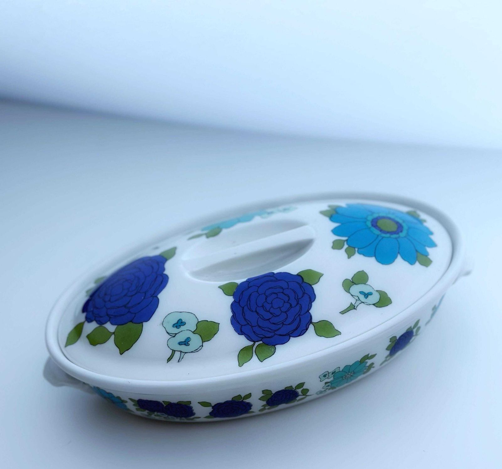Pillivuyt French Porcelain Covered Casserole Dish 1970s With Serving Plate Rare Illustration photo furniture