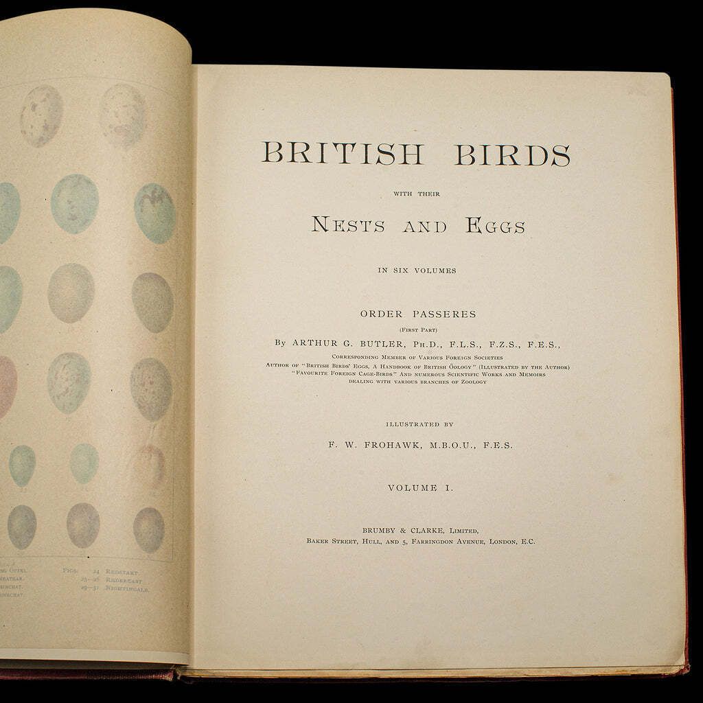 6 Vols British Birds And Their Nests, Butler, Avian Reference Book, Victorian photo for sale