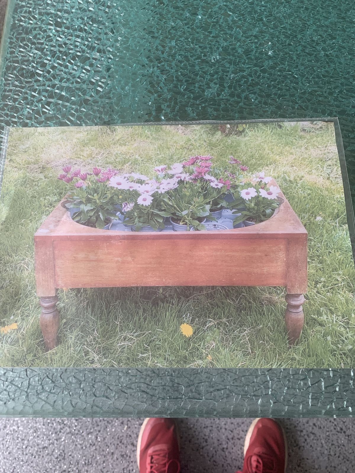 Painted French Mahogany Plant Display Unit photo vinterior