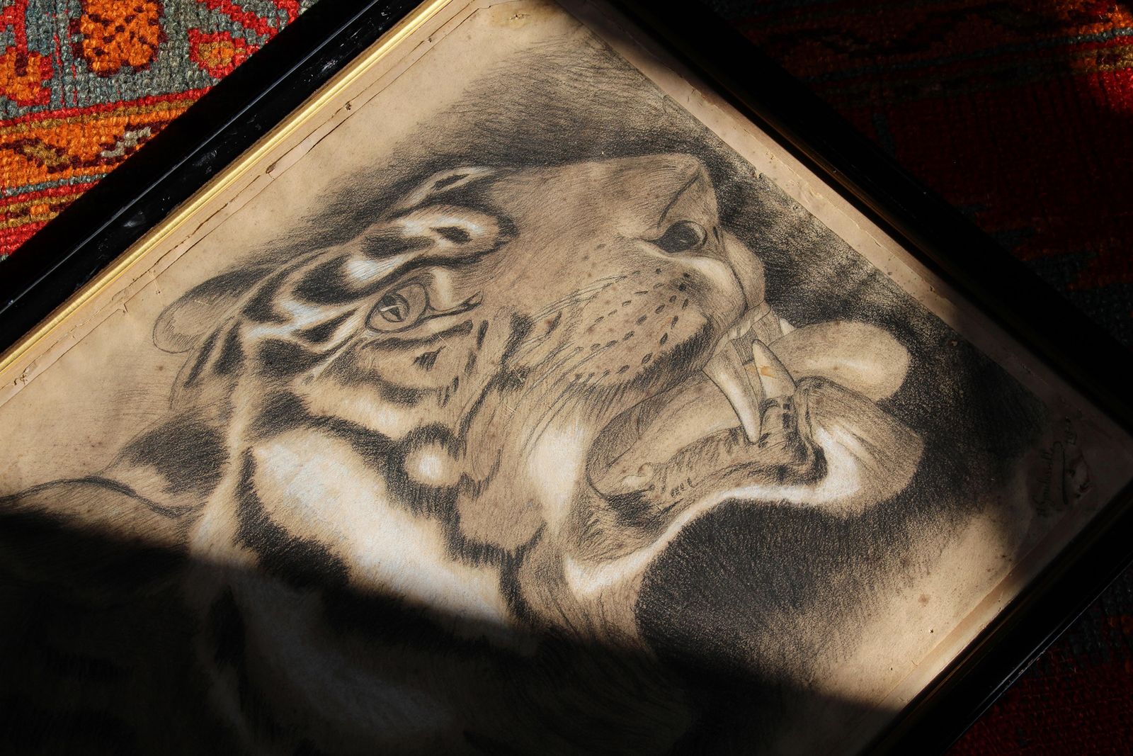 Large 19th Century Charcoal On Paper Bengal Tiger Dated 1831 Curio Taxidermy photo for sale