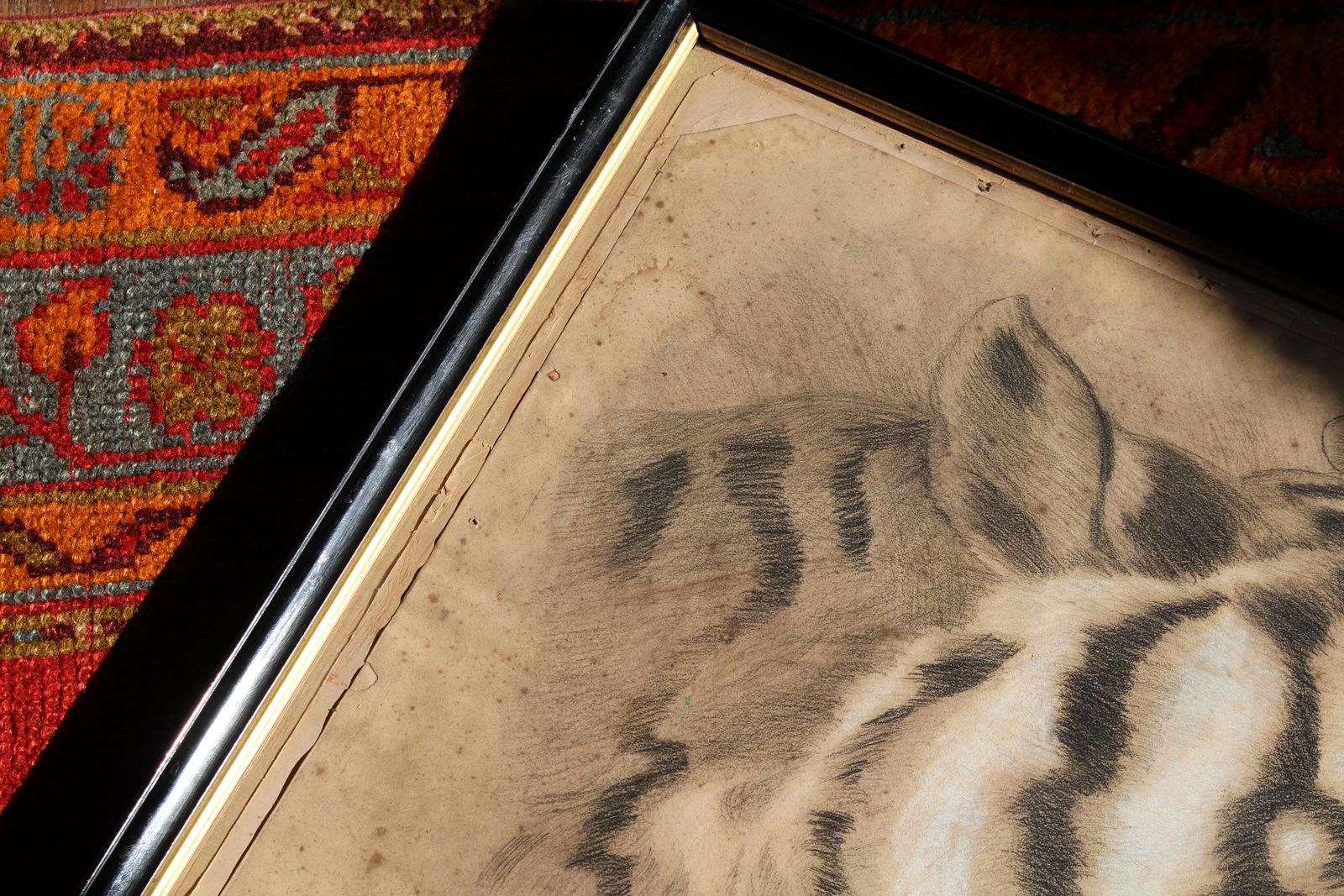 Large 19th Century Charcoal On Paper Bengal Tiger Dated 1831 Curio Taxidermy photo vintage