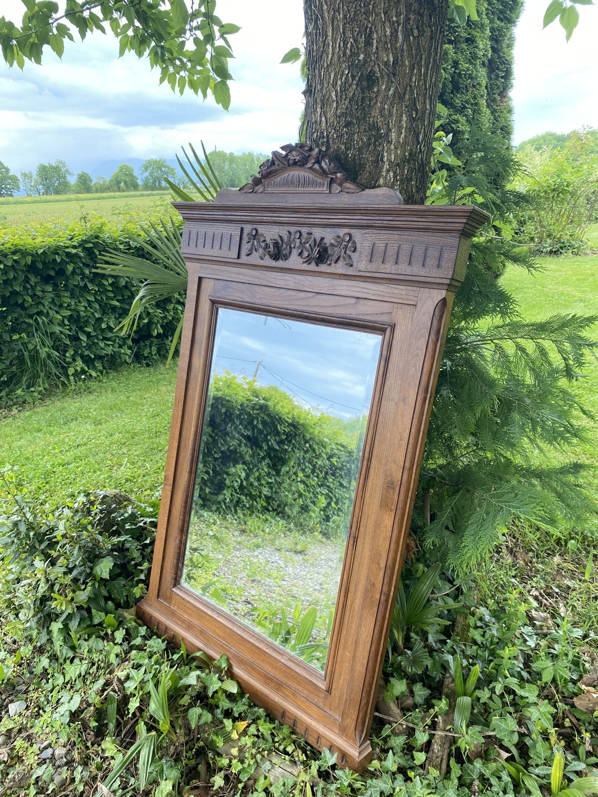 Large Bevelled Mirror In Carved Wood   Neo Renaissance Style, 19th Century