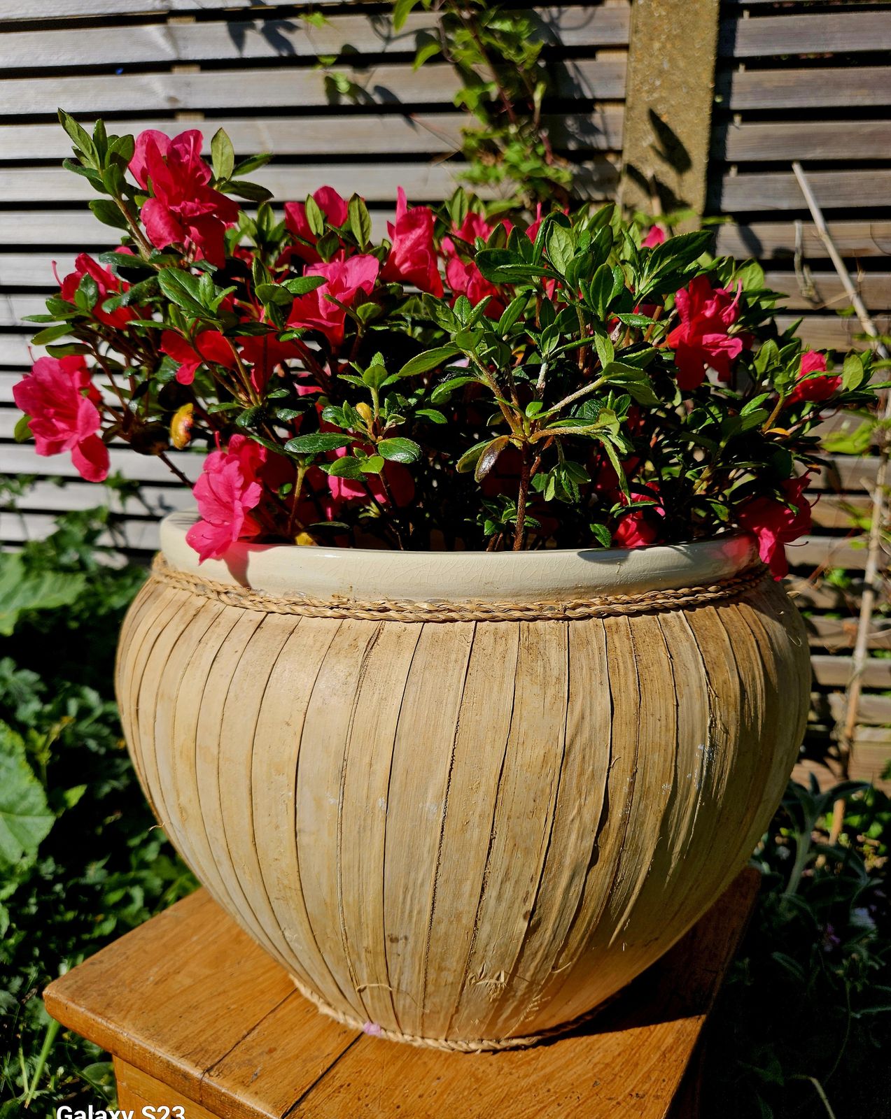 Large, Ceramic & Bamboo Indoor Planter photo furniture