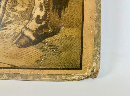Czech Educational School Board With Cow, 1900s photo Art