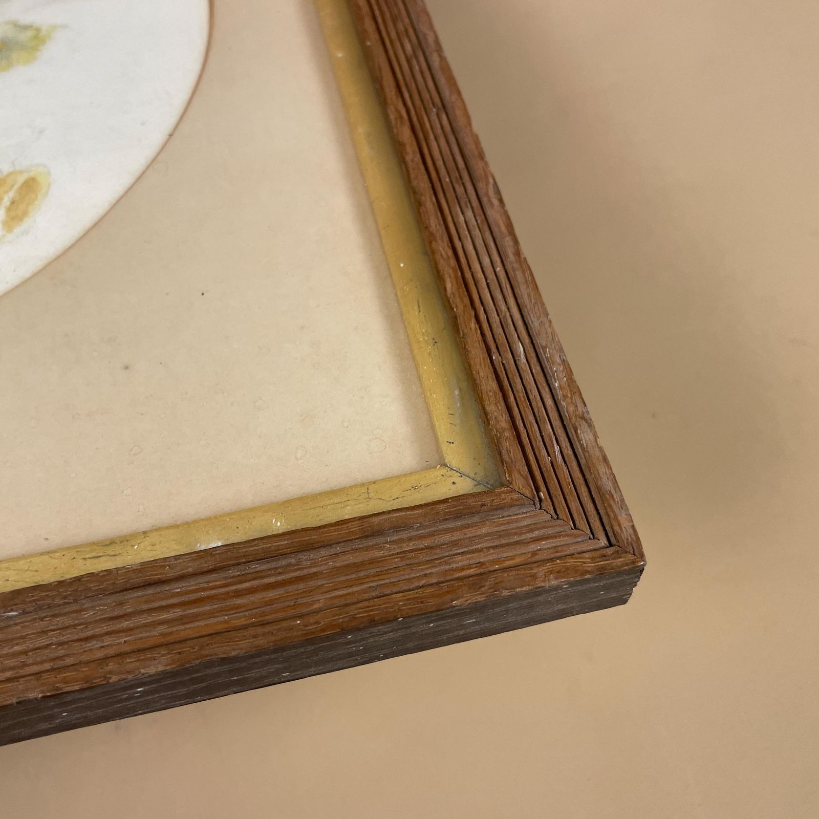 photo for sale Antique Watercolour Painting J.G.R 1897 Floral Dandelion Wooden Frame Rectangle Portrait Painted Art Original Wall Art Oval Mounted