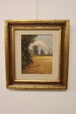 Art Italian Artist, Landscape, Oil Painting On Cardboard, Framed photo