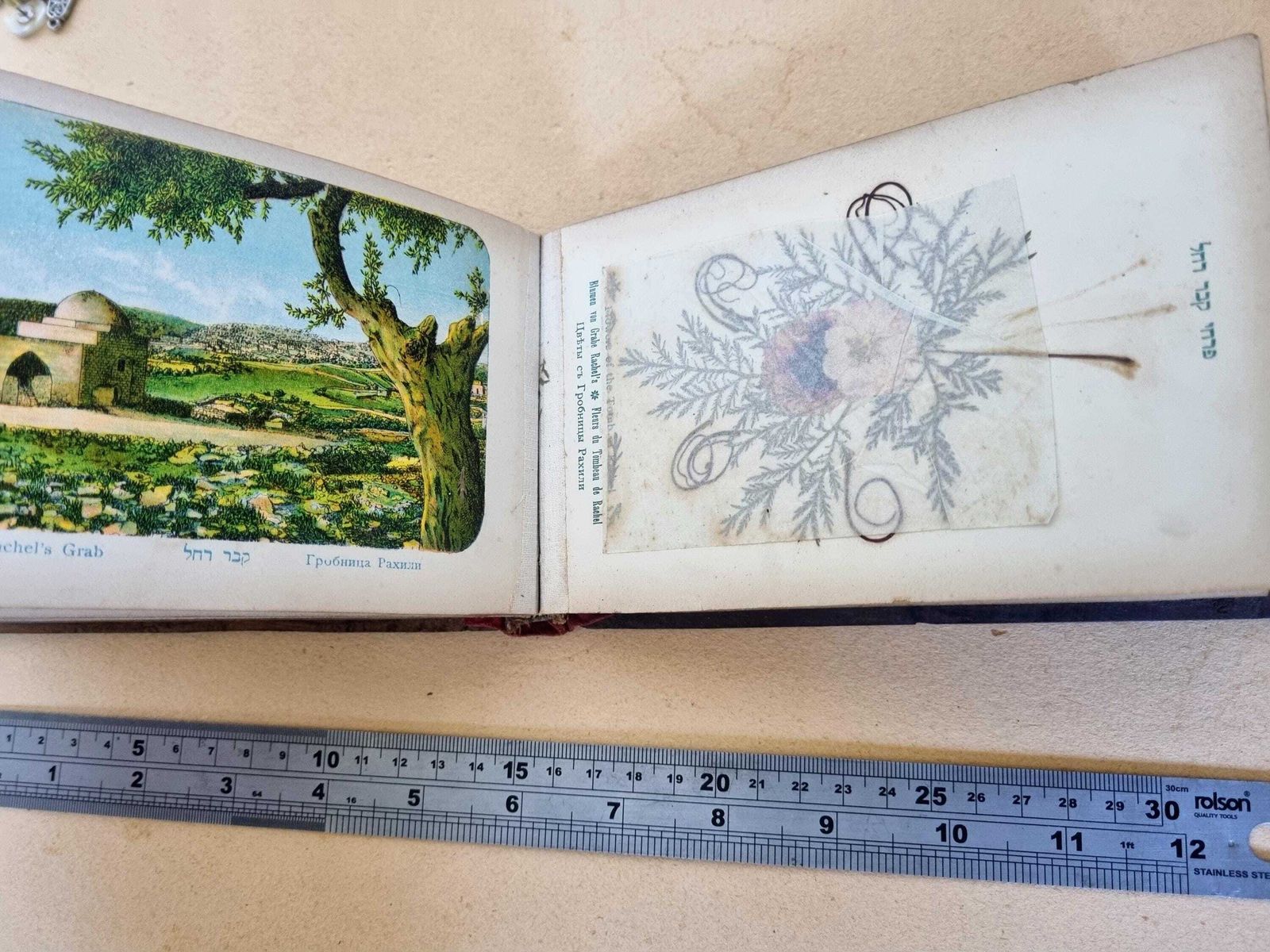 Holy Land Jerusalem Flowers Album With Romantic Inscription Dedication 1918, Olive Wood Souvenir Book | Historical Pressed Flower Lithograph photo vintage