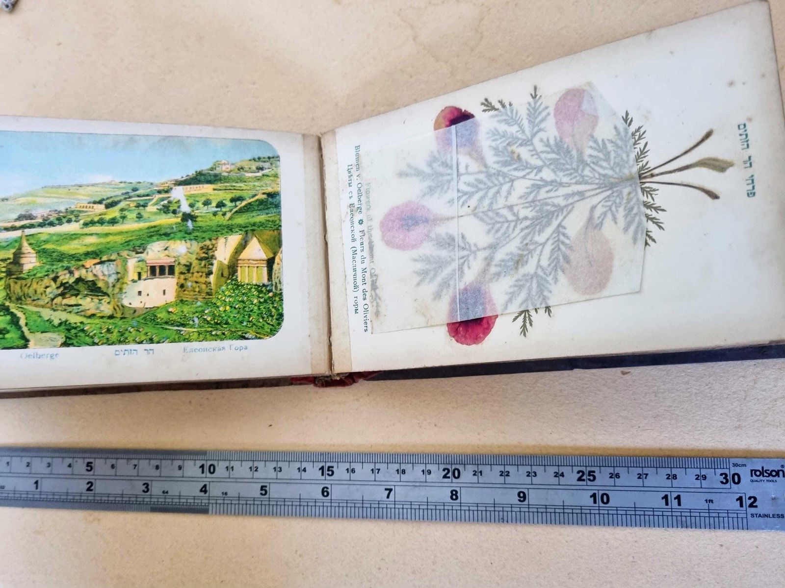 photo for sale Holy Land Jerusalem Flowers Album With Romantic Inscription Dedication 1918, Olive Wood Souvenir Book | Historical Pressed Flower Lithograph