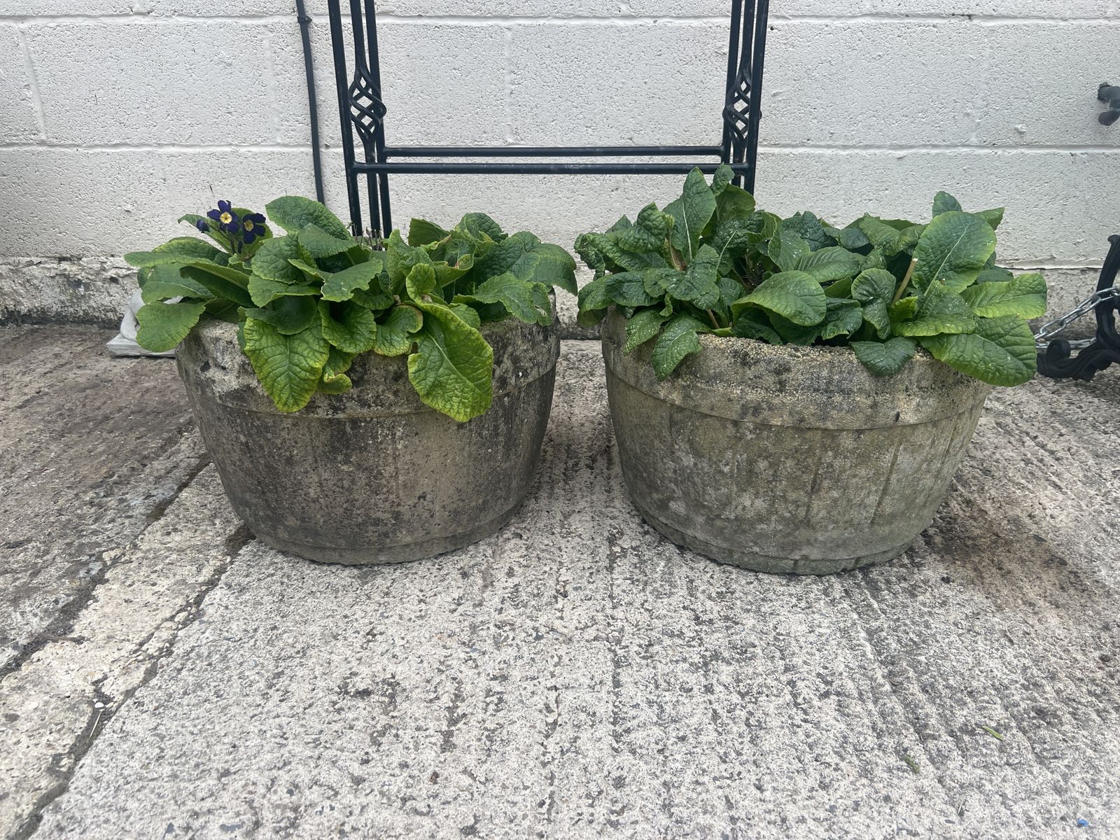 A Pair Of C1950 Garden Barrel Planters