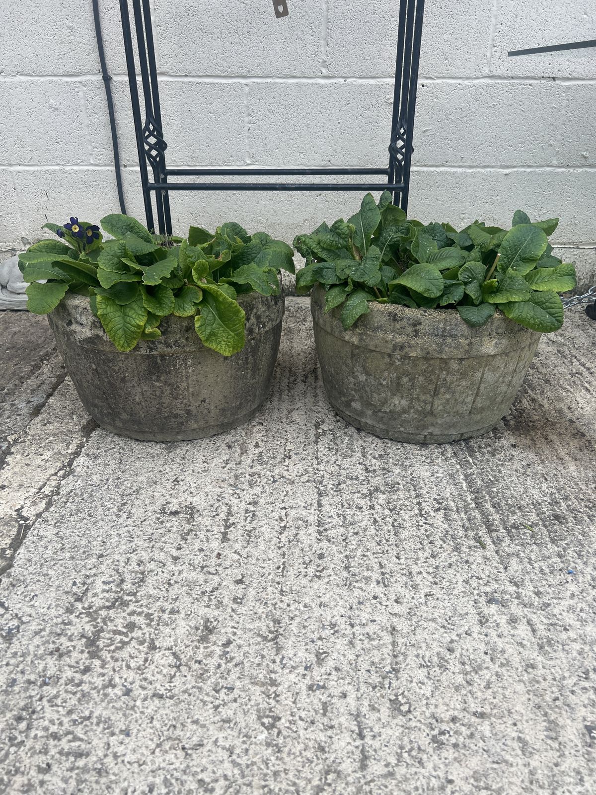 A Pair Of C1950 Garden Barrel Planters photo vinterior