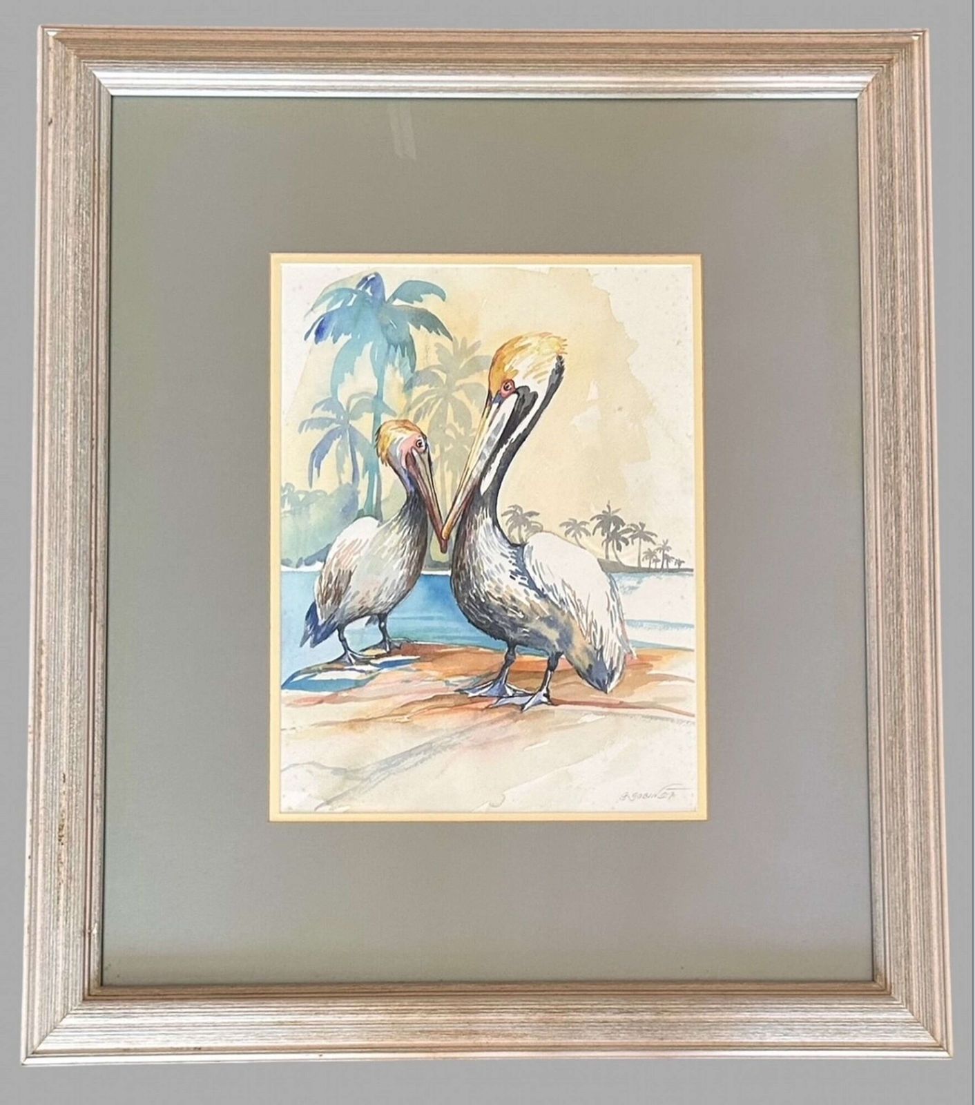 Gilly Gobinet   Pelican   Watercolour On Paper Signed