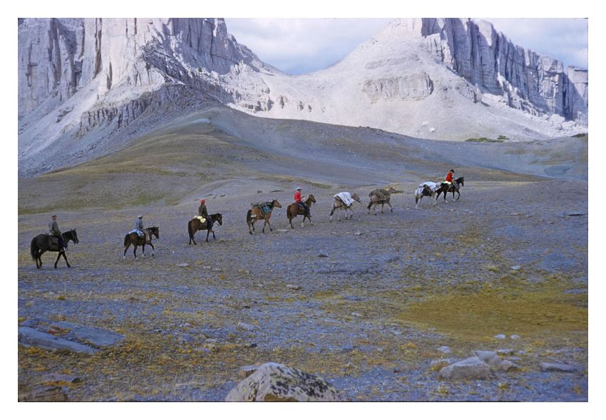Toni Frissell 'A Pack Trip In Wyoming' Unframed Archival Pigment Print photo furniture
