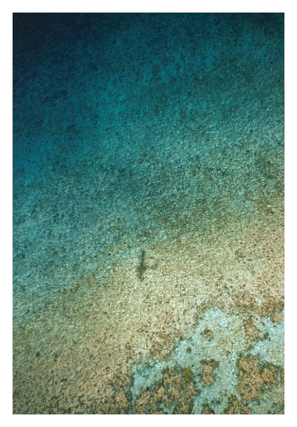 Toni Frissell 'A Seaview In Nassau' Unframed Archival Pigment Print photo furniture