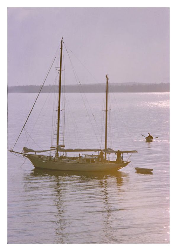 Toni Frissell 'A Yacht In Sunlight' Unframed Archival Pigment Print photo furniture