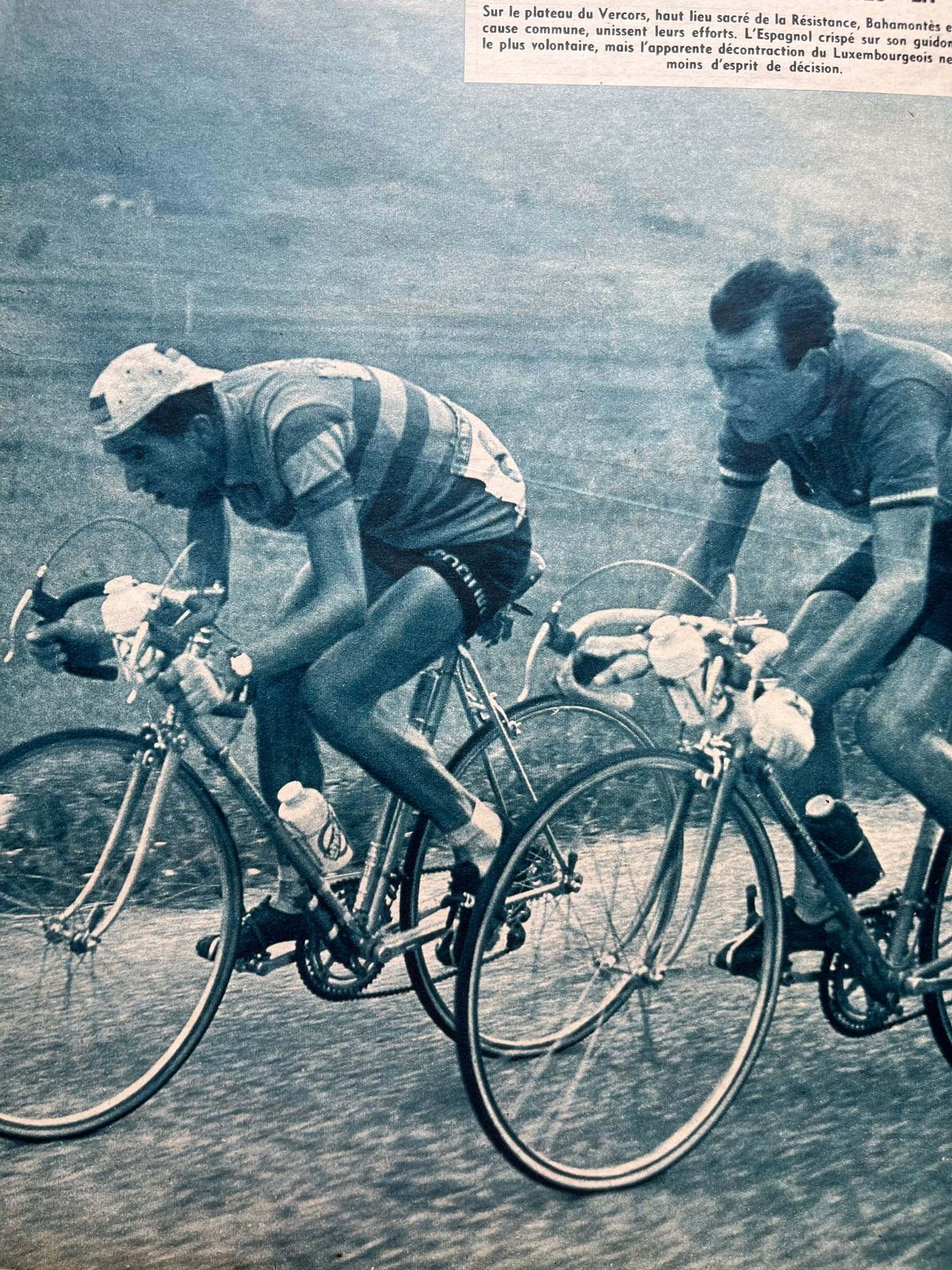 Vintage Cycling Print Tour De France Charly Gaul Federico Bahamontes 1959 photo furniture