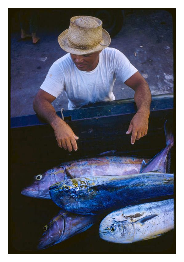 Toni Frissell 'Hawaiian Scenes' Unframed Archival Pigment Print photo furniture