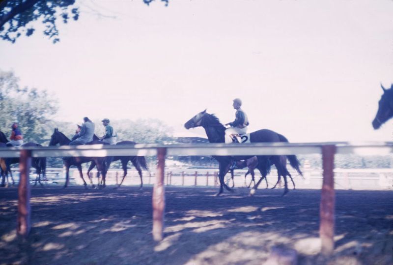Toni Frissell 'Horse Race At Saratago' Unframed Archival Pigment Print