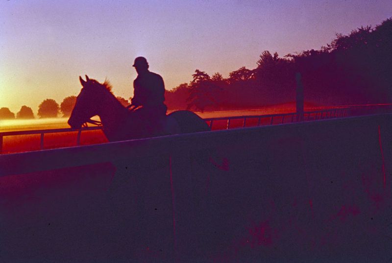 Toni Frissell 'Morning Training At Saratago' Unframed Archival Pigment Print
