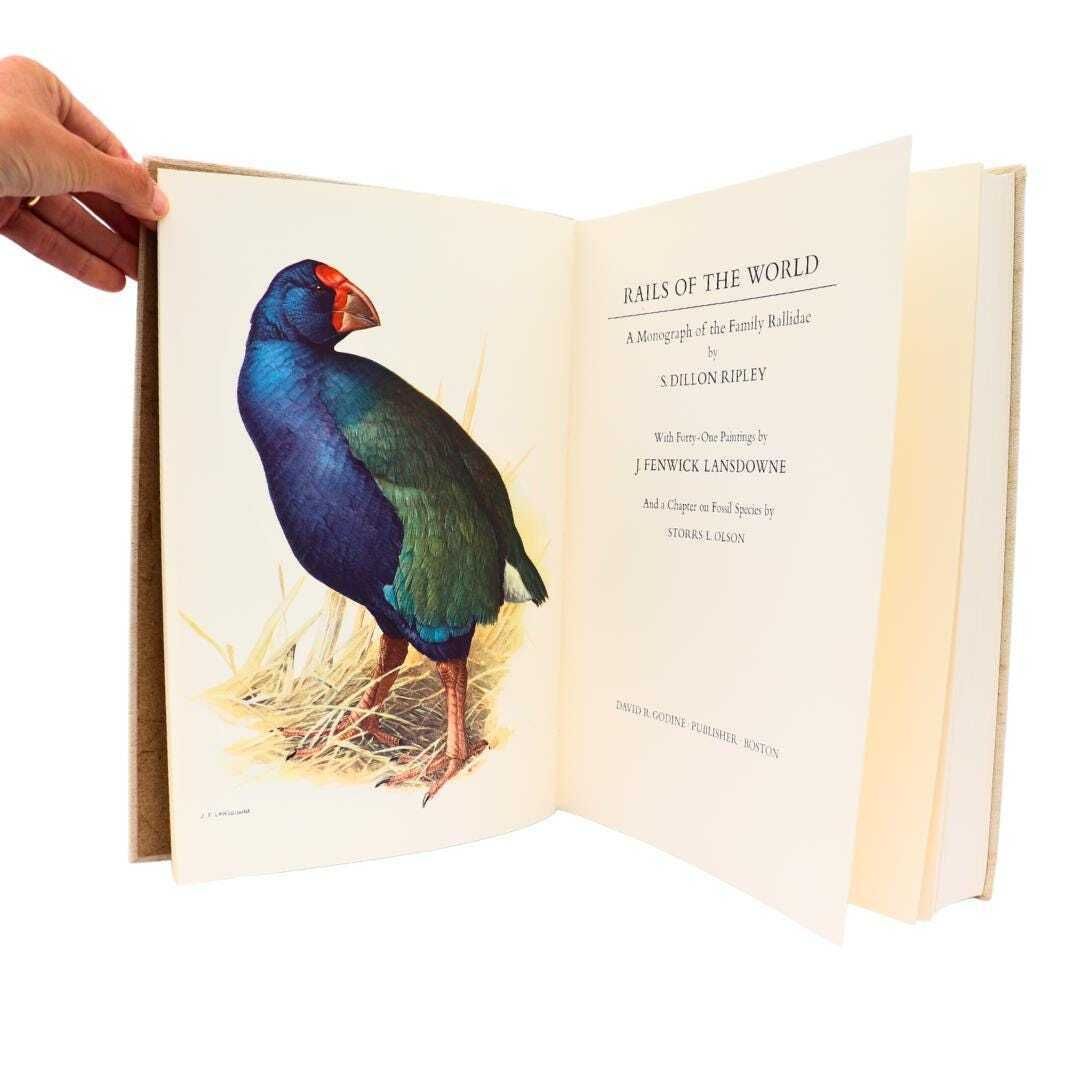 Mid Century Coffee Table Book About Birds  Rails Of The World  By S. Dillon Ripley  1977 Rallidae, Large Retro Ornithology Book photo furniture