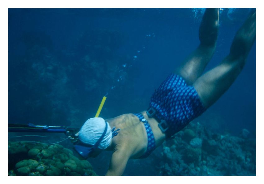 Toni Frissell 'Speargun Fishing In Antigua' Unframed Archival Pigment Print photo furniture