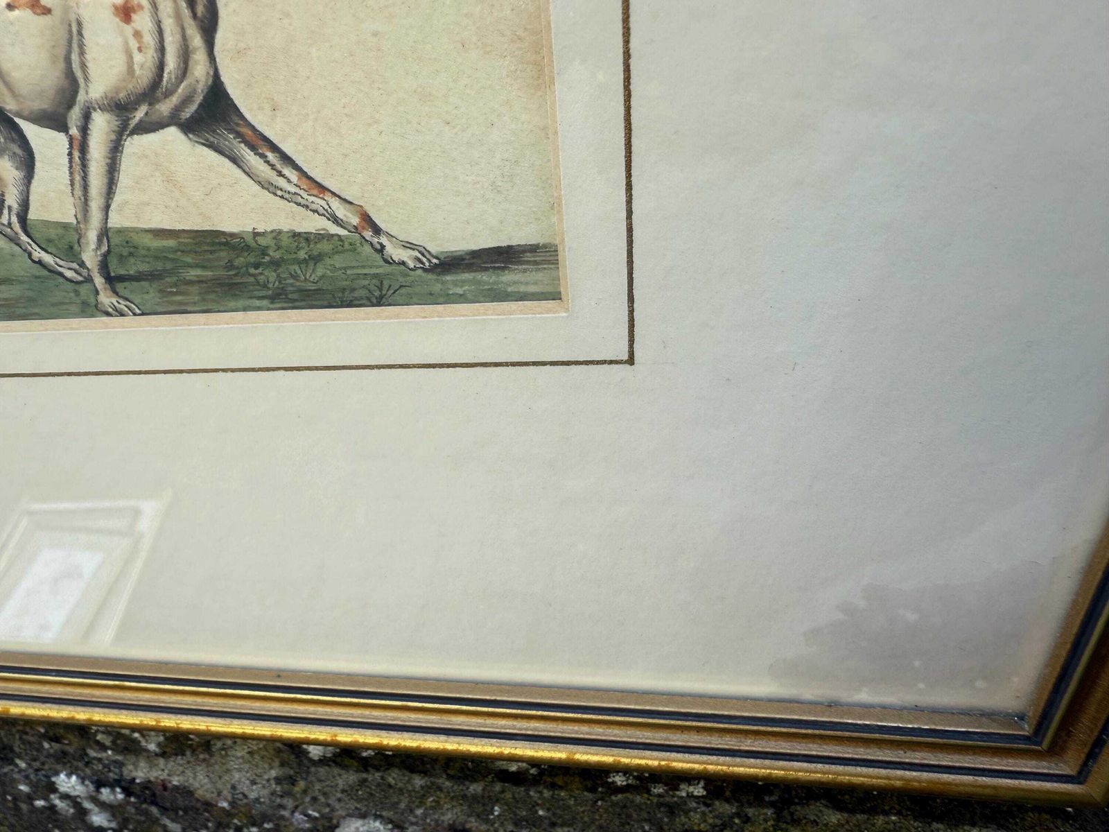 Vintage Framed British Sporting Dog Print, To Ho! Pair Of English Foxhounds Illustration By Barbara Farren C 1890, Traditional Country Decor photo for sale