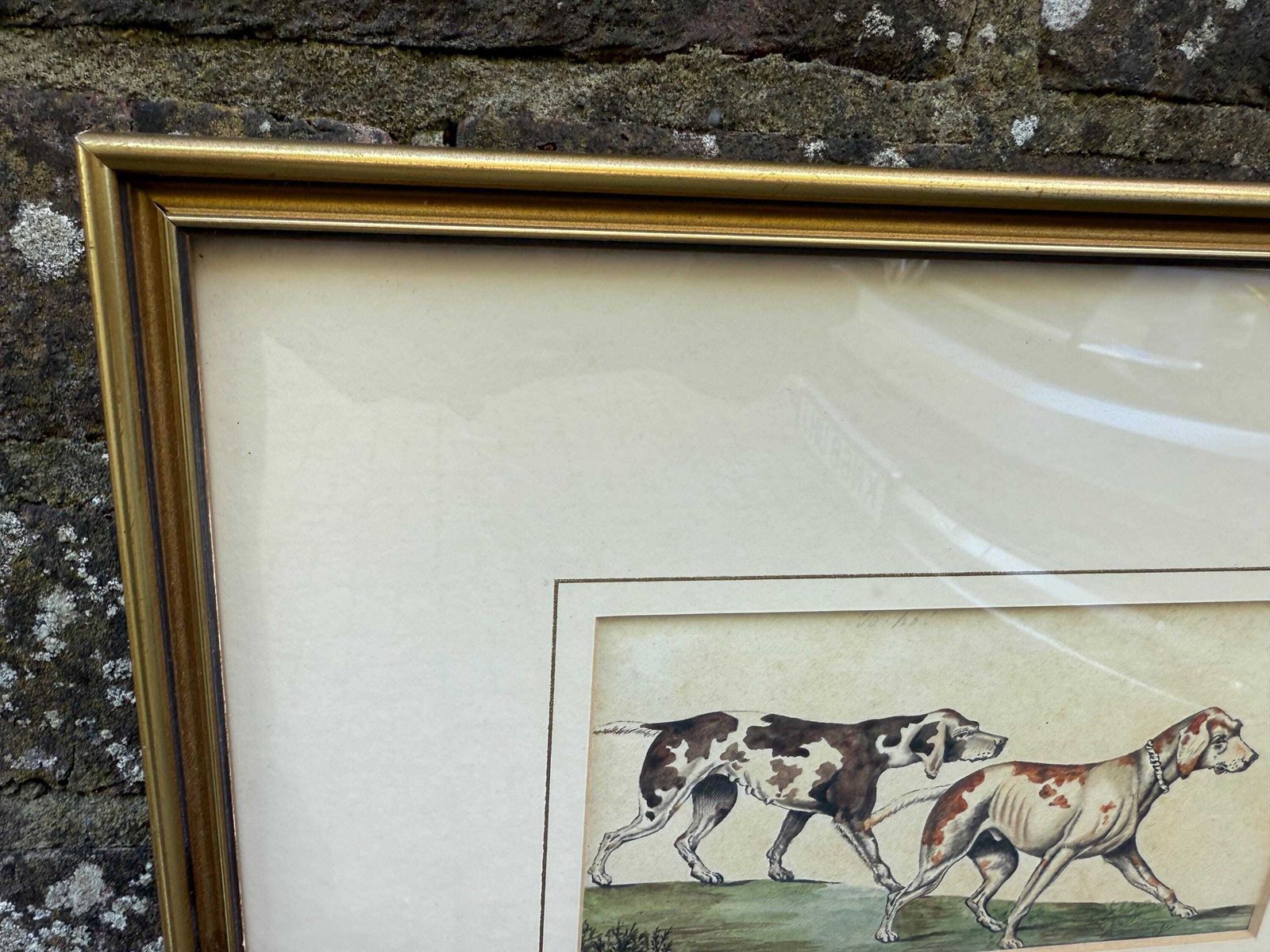 Vintage Framed British Sporting Dog Print, To Ho! Pair Of English Foxhounds Illustration By Barbara Farren C 1890, Traditional Country Decor photo 75.0