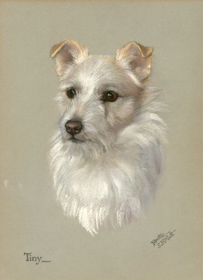 Dorothy S. Hallett Early 20th Century Pastel, Portrait Of A Terrier, 'Tiny' photo furniture