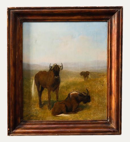 Circle Of Samuel Daniell (1775 1811) Oil, Wildebeest On Grassland