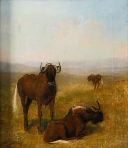 Circle Of Samuel Daniell (1775 1811) Oil, Wildebeest On Grassland photo furniture
