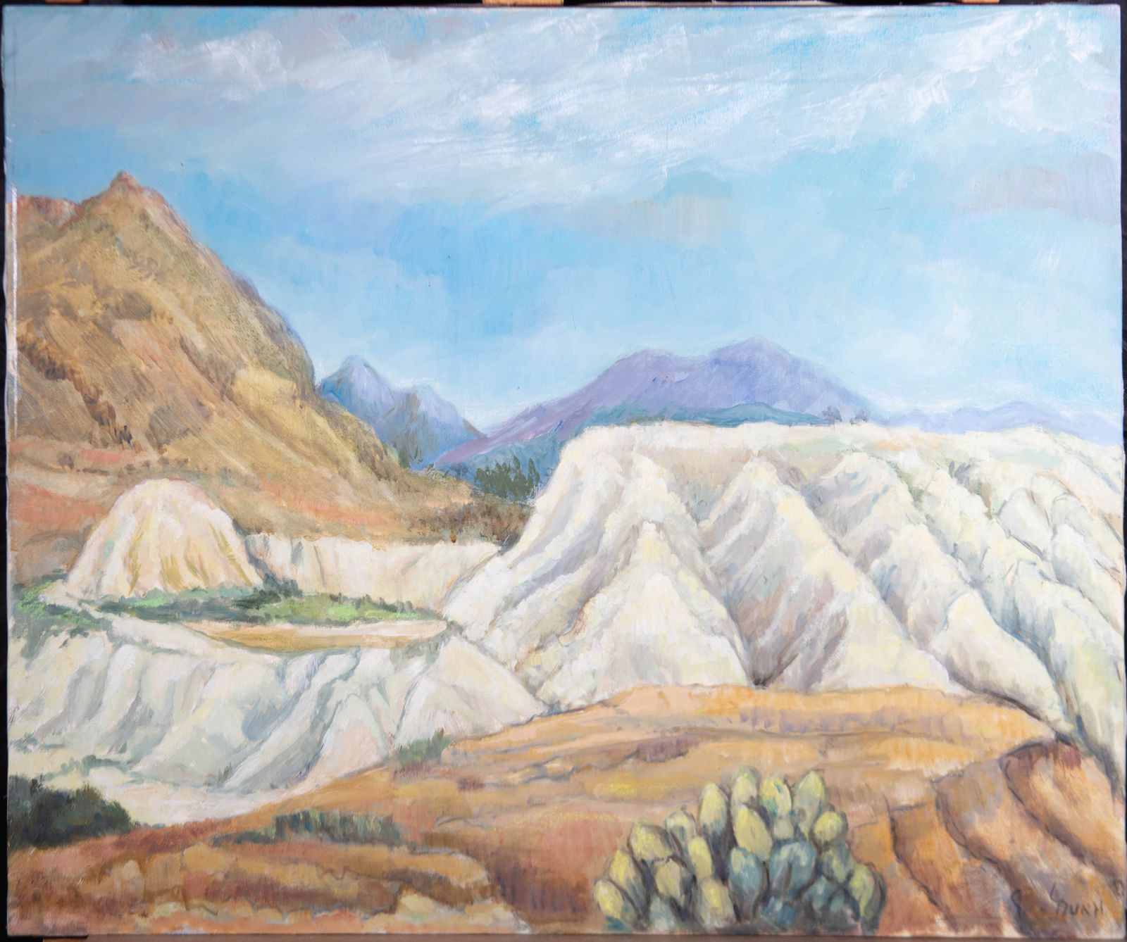 Lorna Dunn Contemporary Oil, Southern American Mountains photo furniture