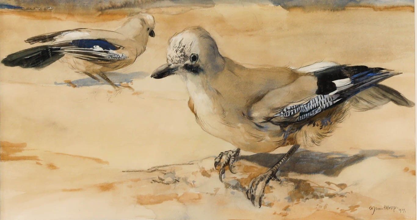 Adrianus Johannes Van 'T Hoff (1893 1939) Framed 1929 Watercolour, Two Jays photo furniture