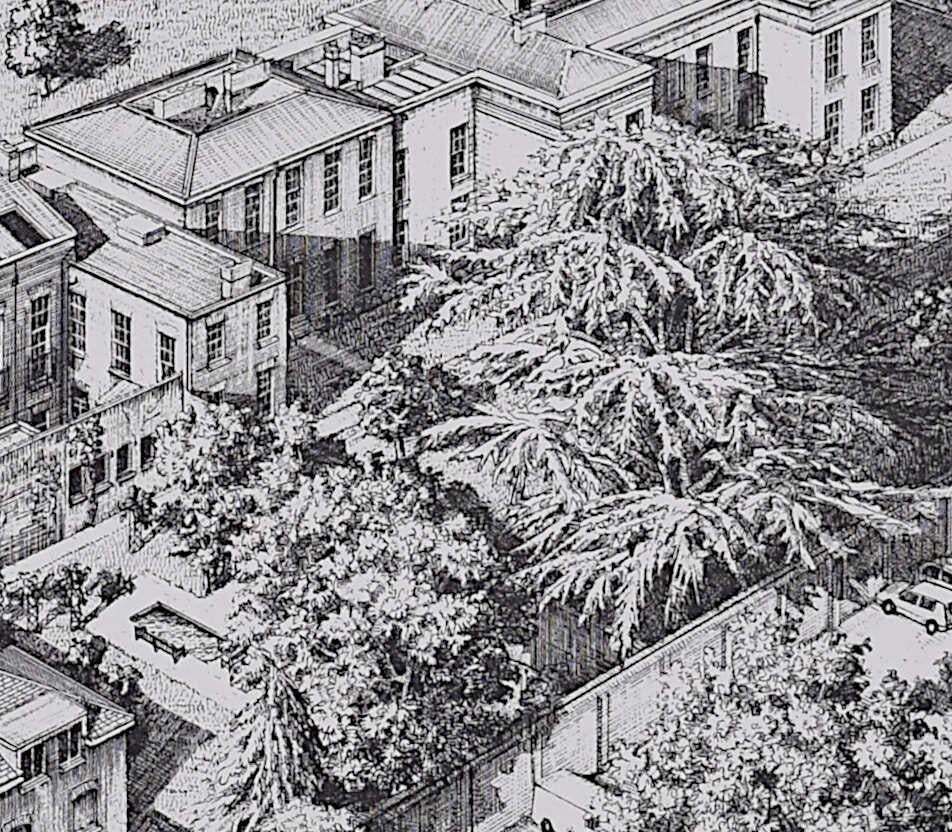 Downing College, Cambridge, Engraving By Andrew Ingamells, 2005 photo Art