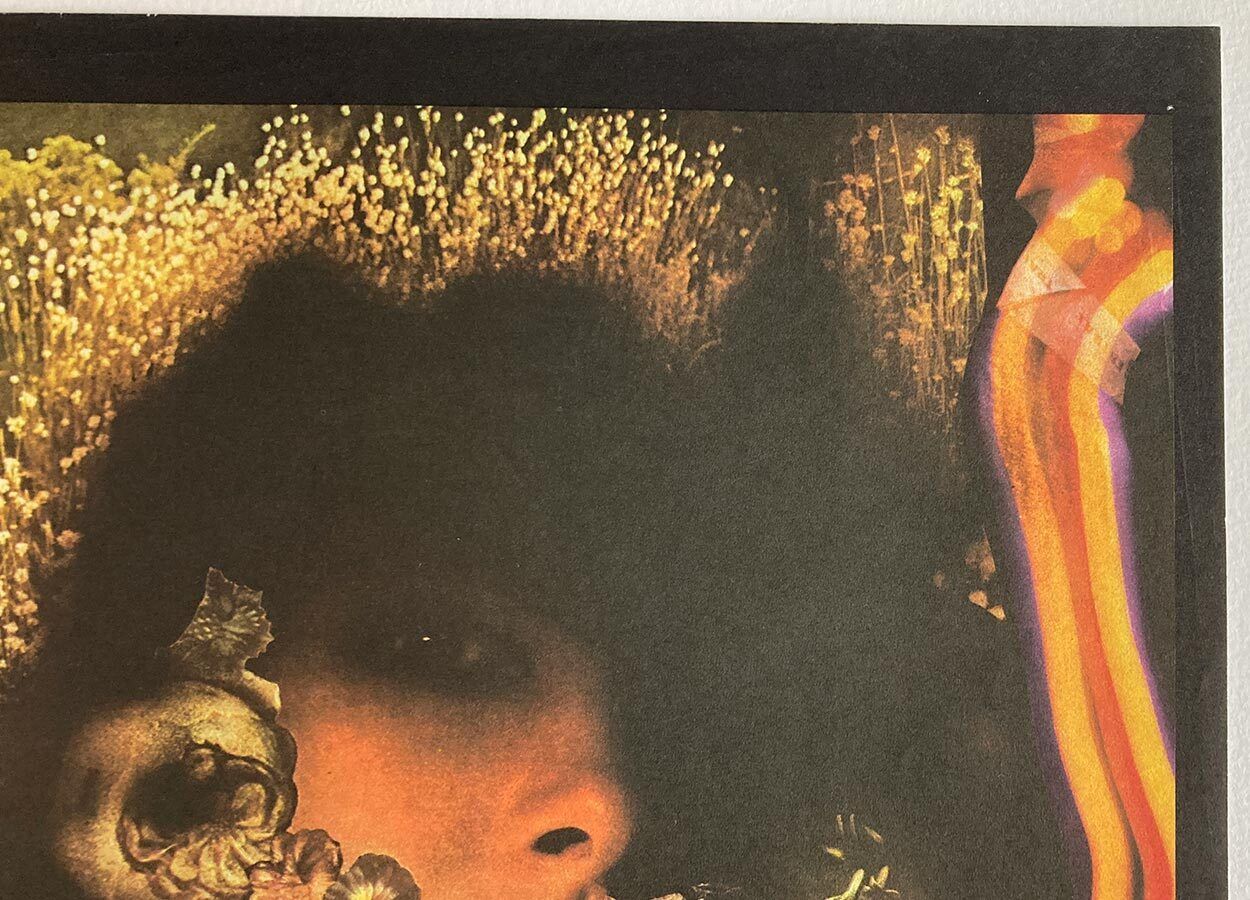 Original Film Poster, Lakeside Sonata, Josef Vyleťal, 1977, Genuine Czech Print photo 51.0