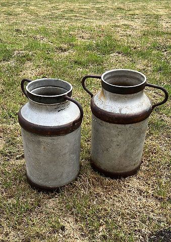 Antique Aluminium Milk Churns