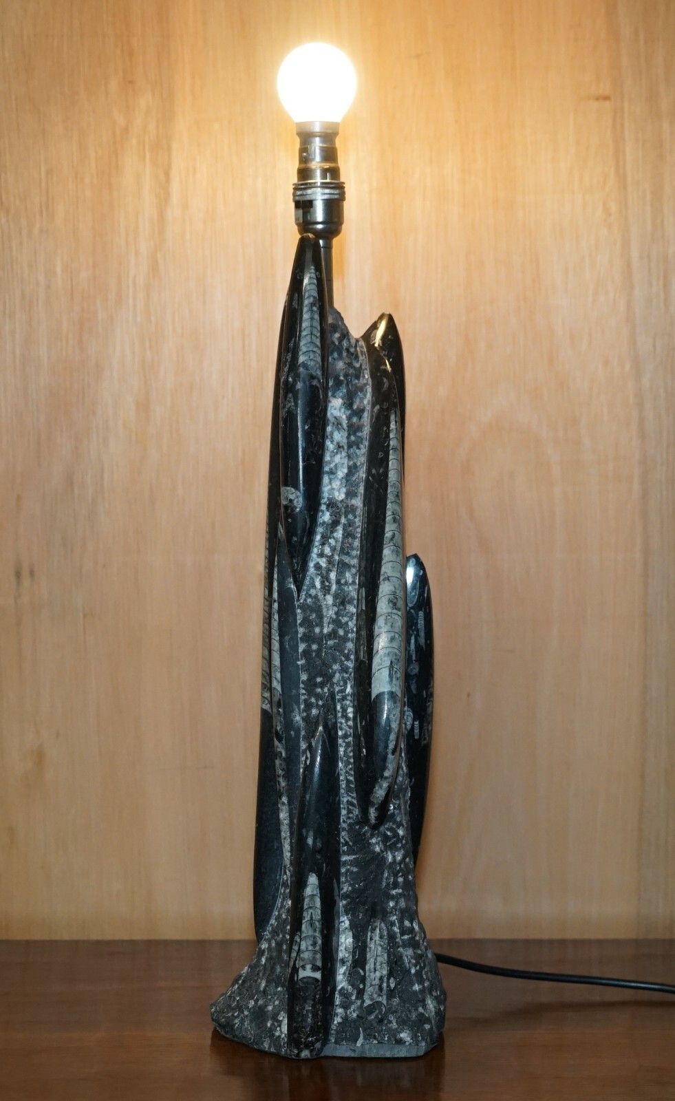 Rare & Large 395 Million Year Old Fossilized Orthoceras Marble Finish Table Lamp photo furniture