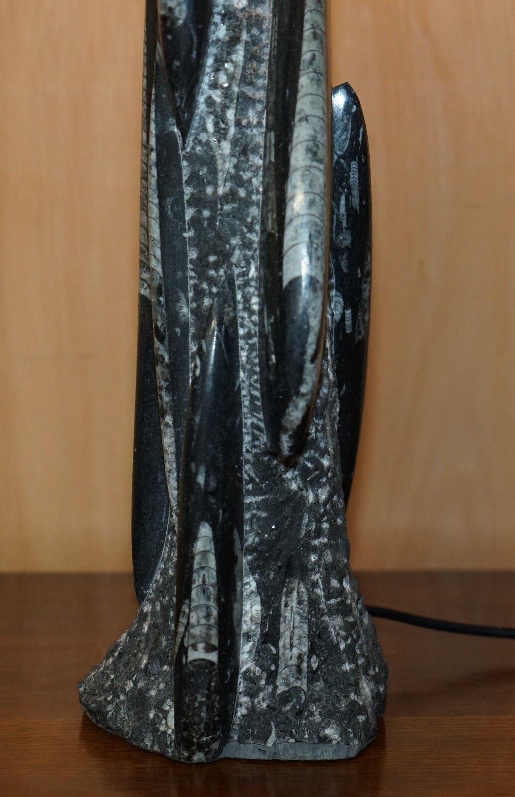 Rare & Large 395 Million Year Old Fossilized Orthoceras Marble Finish Table Lamp photo Lighting