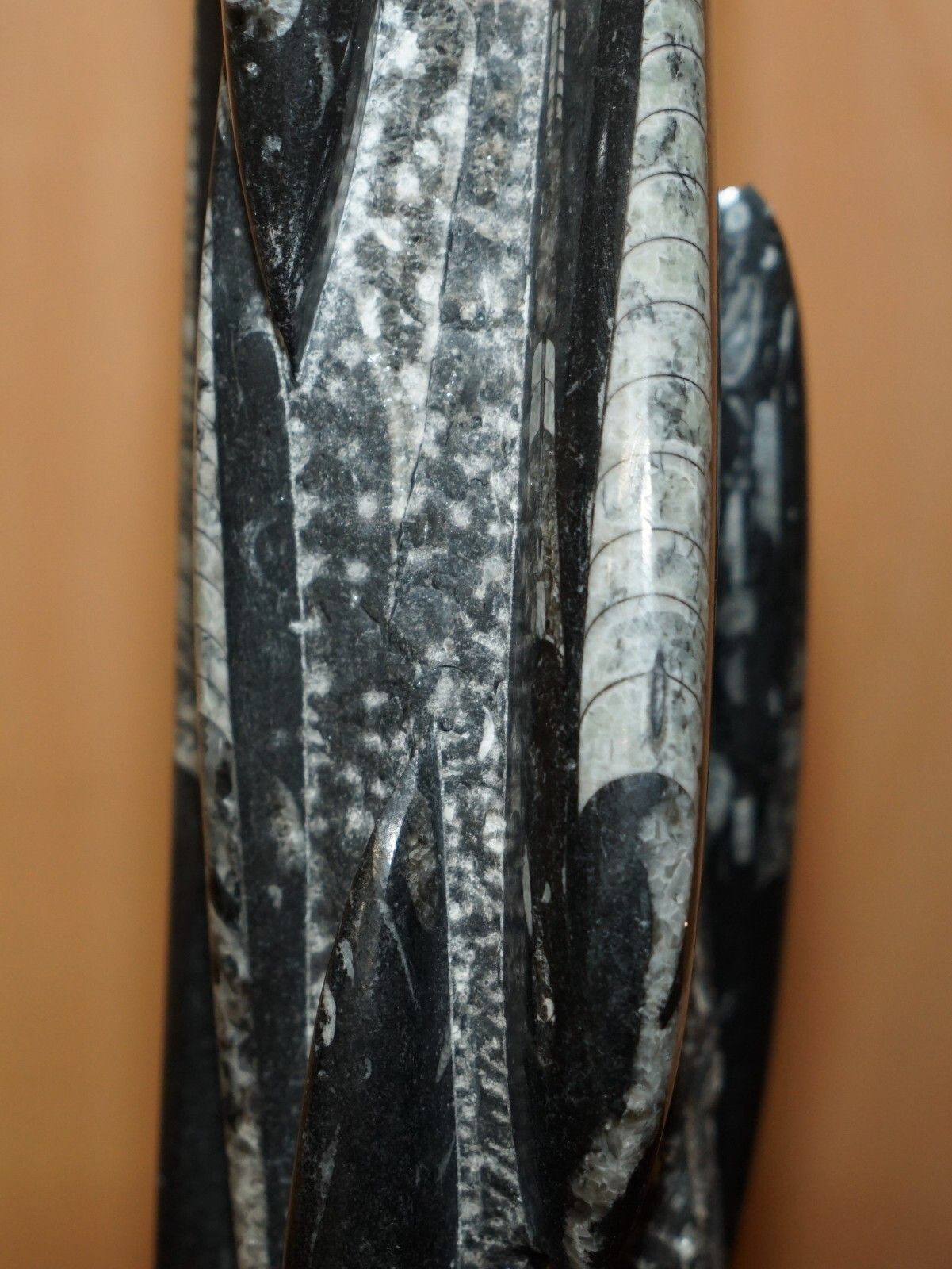 Rare & Large 395 Million Year Old Fossilized Orthoceras Marble Finish Table Lamp photo vinterior