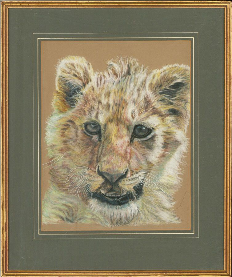 M. Coleman   20th Century Pastel, Timmy The Lion Cub