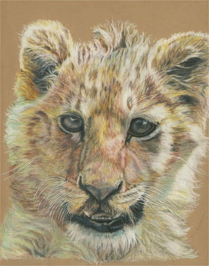M. Coleman   20th Century Pastel, Timmy The Lion Cub photo furniture