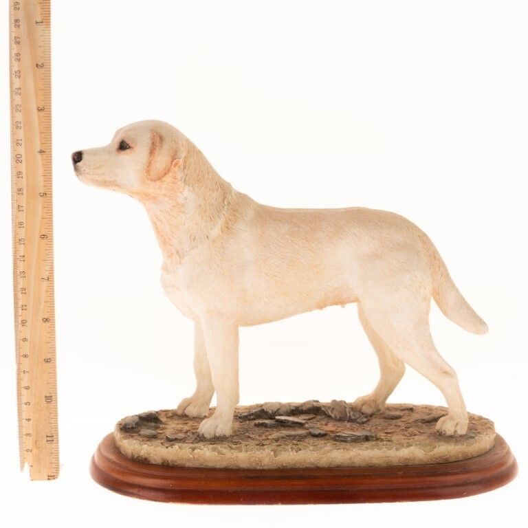 Hand Painted Border Fine Arts Labrador Dog Figure Sculpture photo Art