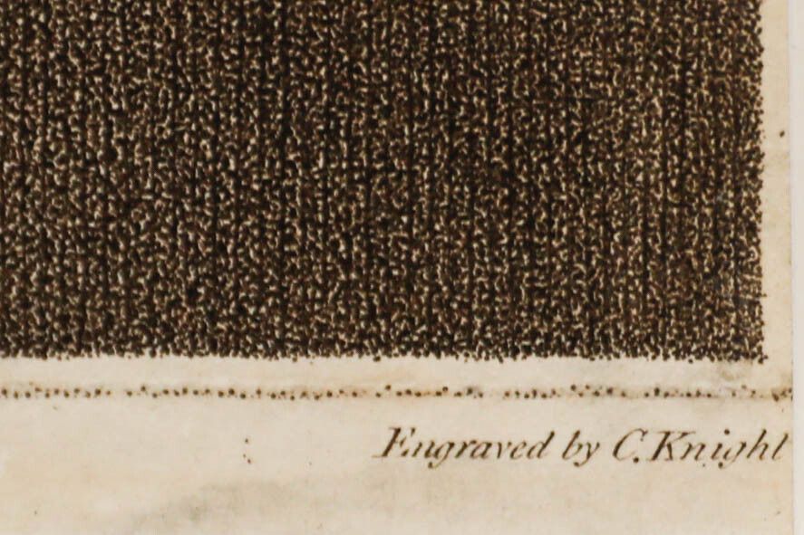 Charles Knight After John Russell Ra (1745 1806)   Engraving, The Rabbit photo vinterior