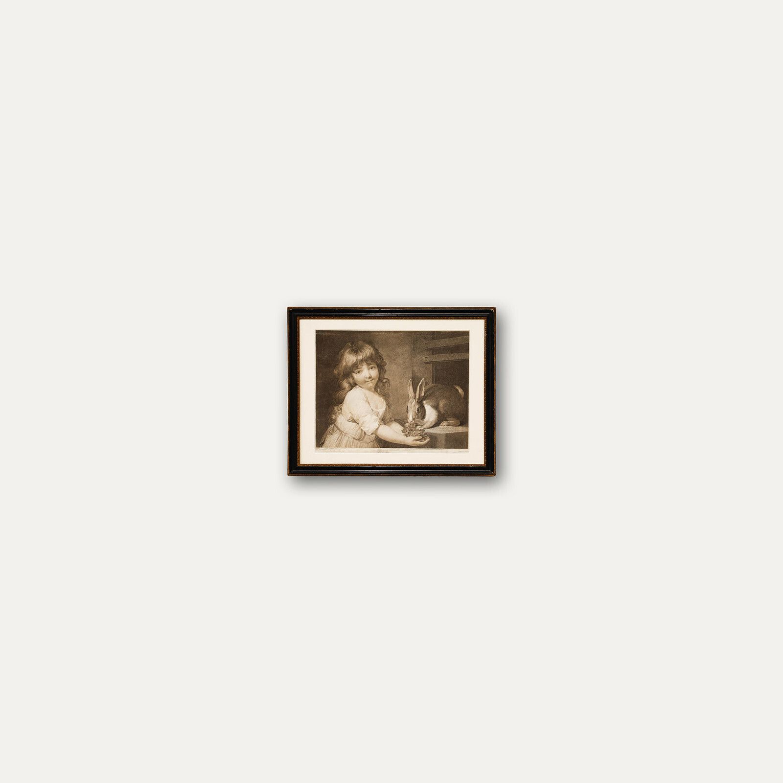 Charles Knight After John Russell Ra (1745 1806)   Engraving, The Rabbit photo buy