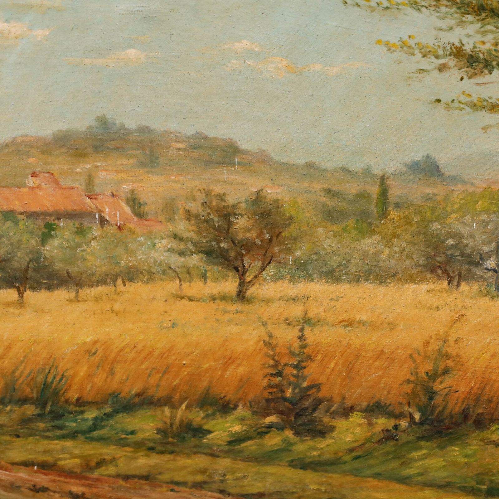 Early 20th Century Oil   View Of The Olive Grove photo 274.0