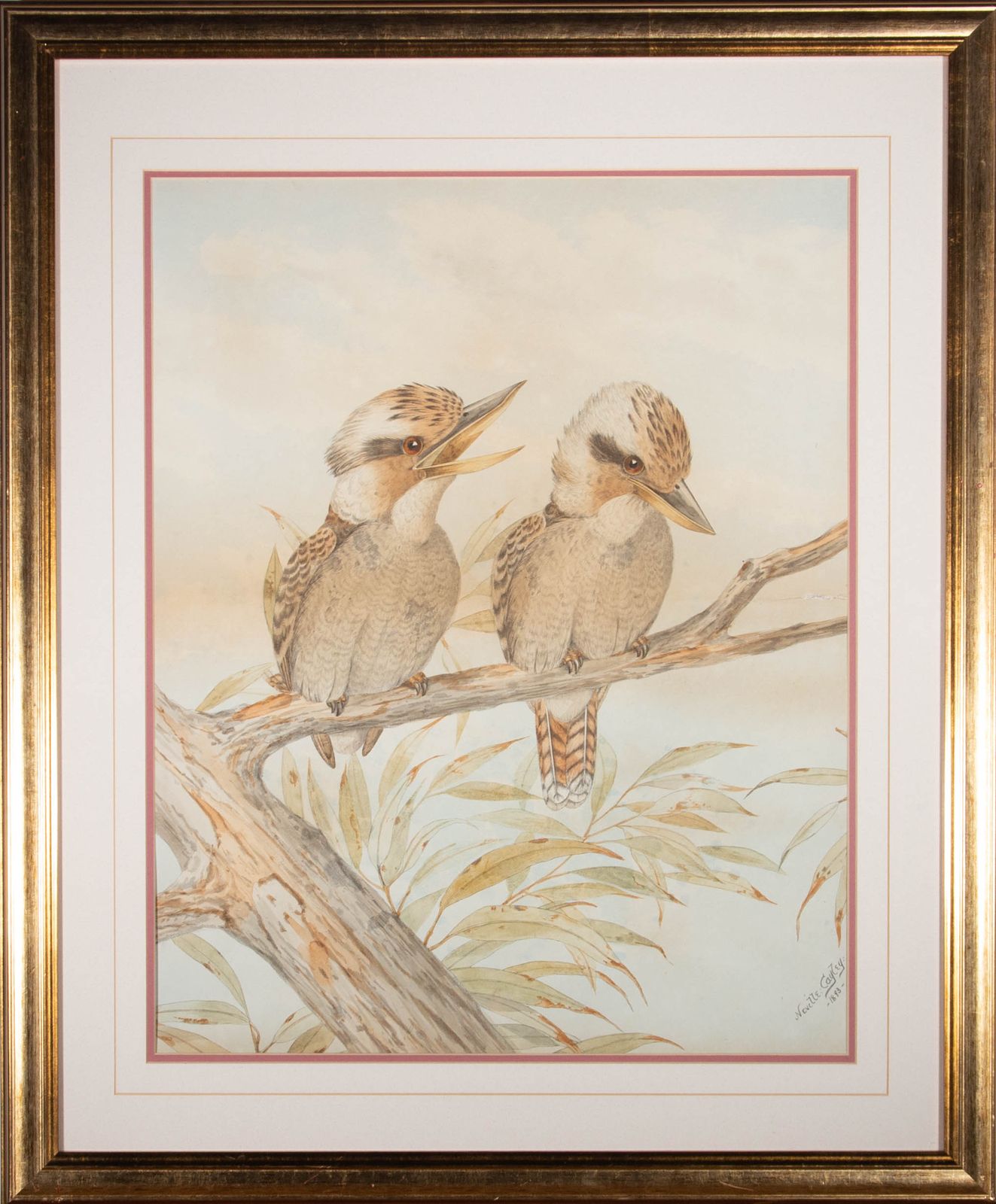 After Neville Henry Cayley (1854 1903)   1893 Lithograph, Kookaburras