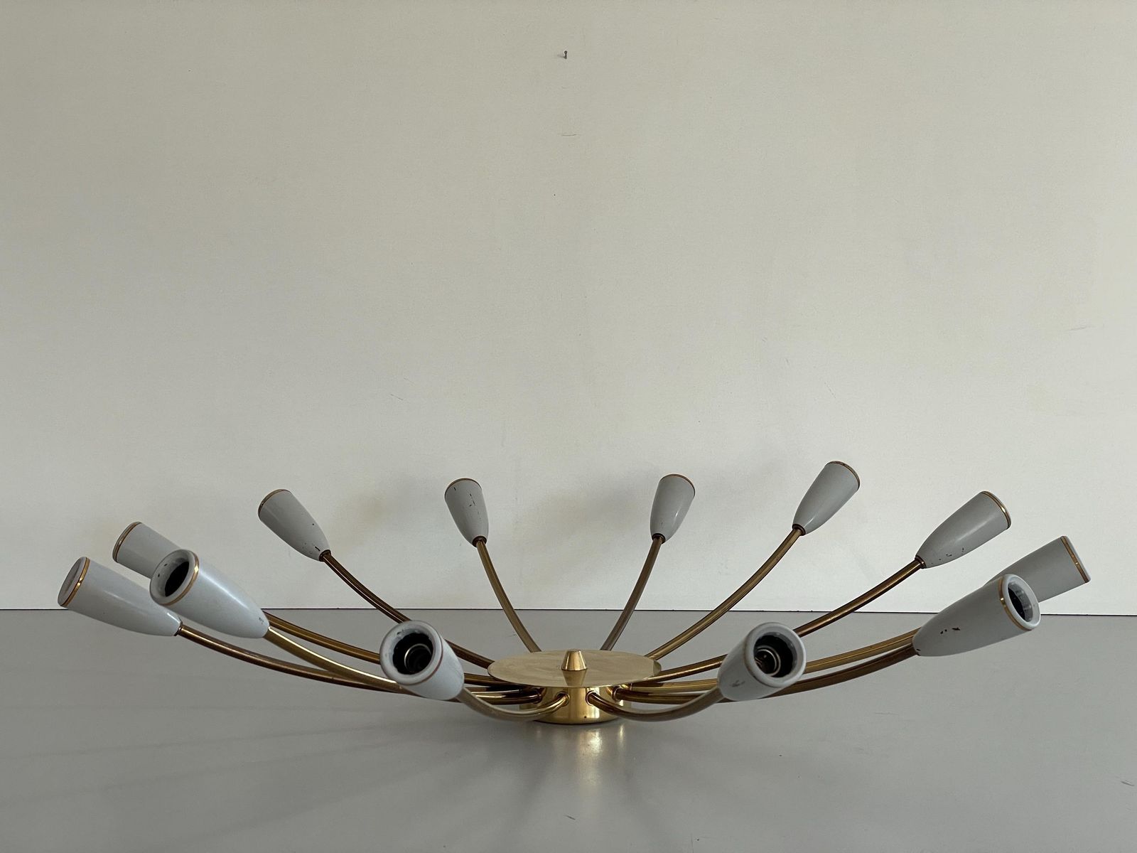 Mid Century Gray Metal And Brass Body 12 Armed Sputnik Ceiling Lamp, 1950s, Germany photo 1963.0