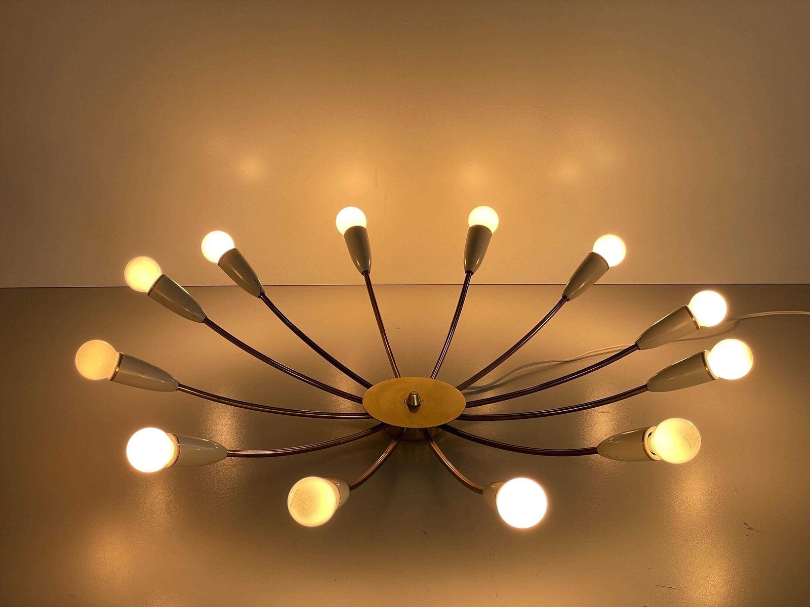 Mid Century Gray Metal And Brass Body 12 Armed Sputnik Ceiling Lamp, 1950s, Germany photo buy