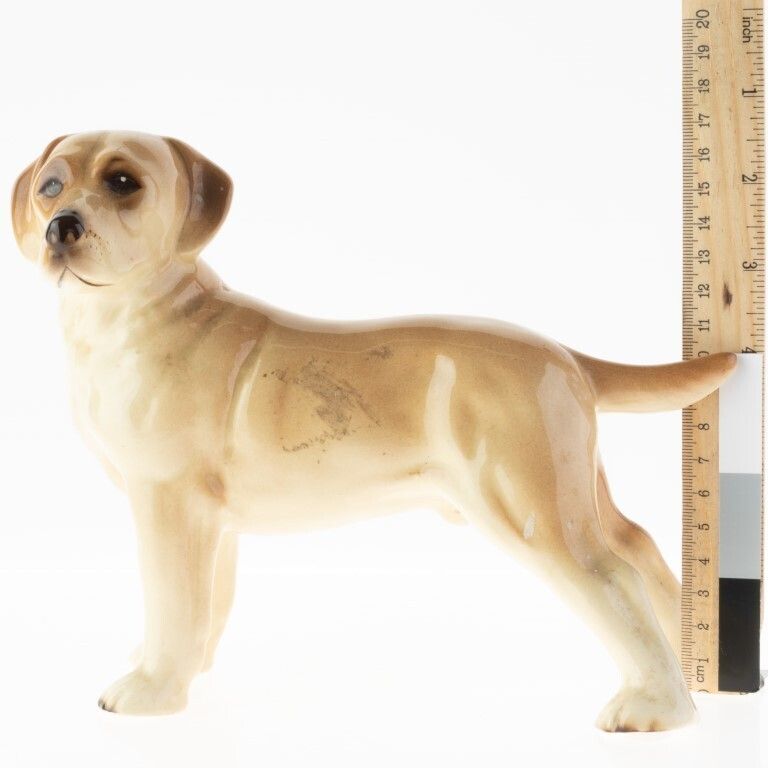 Mid Century English Porcelain Ceramic Dog Figure photo for sale